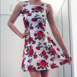 Red & White Rose Skater Summer Dress